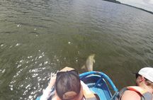 Dolphin Watching in Puerto El Morro from Guayaquil