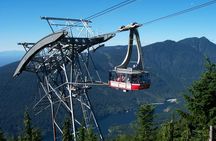 Small Group Tour: Capilano Suspension Bridge and Grouse Mountain from Vancouver