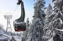 Private Tour: Capilano Suspension Bridge and Grouse Mountain