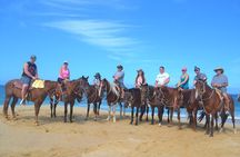 Cabo Desert ATV & Beach Horseback Combo enjoy adventure and beauty! 
