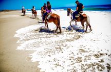 Horseback Riding Migrino Beautiful Beaches! 