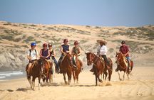 Horseback Riding Migrino Beautiful Beaches! 