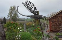 d'Arenberg Cube / McLaren Vale Regional Tour