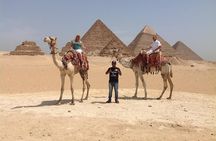 Cairo Private Tours To Giza Pyramids & Egyptian Museum