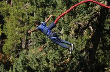5-Day Garden Route Shared Tour from Cape Town including Addo National Park