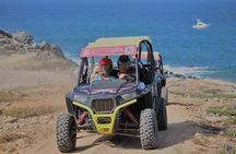Cabo Wild Desert Tour, Polaris ATV or Razor Single, Double, Triple or Quad!