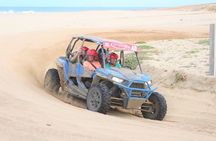 Cabo Wild Desert Tour, Polaris ATV or Razor Single, Double, Triple or Quad!