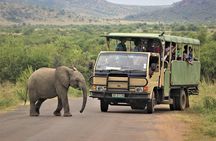 5-Day Garden Route Shared Tour from Cape Town including Addo National Park