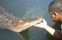 Private Customizable Waterfalls, Crocodiles, Rum Tasting, or Pelican Bar Tour