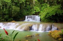 Black River Safari, YS Falls and Flyod's Pelican Bar