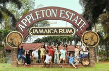 Private Customizable Waterfalls, Crocodiles, Rum Tasting, or Pelican Bar Tour