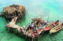 Black River Safari, YS Falls and Flyod's Pelican Bar