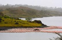 Visit Arusha Coffee Plantation Day Tour