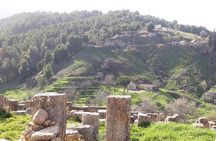 Multi Day Tour in Algeria with Certified Guide