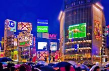Tokyo City Night View Tour with Native Japanese Driver