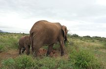 3Days 2 night Samburu shaba