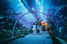 Dubai Aquarium and Underwater Zoo Admission Ticket with Options
