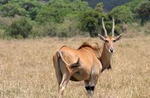 2 Days Tour :Mt.Longonot Hiking TOUR &Hells Gate Bicycle Riding