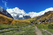 Annapurna Base Camp Trek and Chitwan Excursion