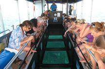 Coral Bay 1-Hour Coral Viewing