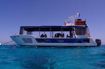 Coral Bay 1-Hour Coral Viewing