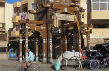 Luxor ancient sights, city Tour with traditional Horse Carriage