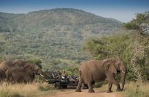 Mikumi Game Drive Safari - 2 Days