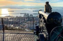 Gibraltar Sightseeing : Extended Rock Tour / Shore Excursion (Private)