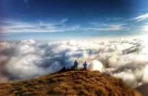 Mardi Himal Treks