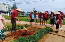 Tour to Tra Que Vegetable Village, Silk Weaving & Lantern Making Class 
