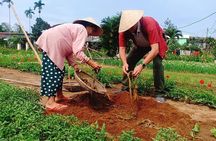 Hoi An Village Experience Tour with 3 Villages in Hoi An