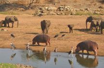 8 Days Tanzania southern circuit safari
