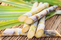 Tea & Sugarcane Plantation Colonial Tour ( Private Chauffeur-Driven Sedan)