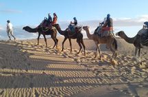 Essaouira: 2H camel/pick up and drop off including 