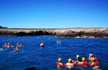 Marietas Islands Snorkel Tour & Hidden Beach 