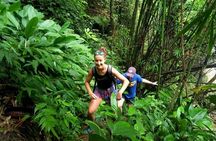 One Day Hiking and Elephant experience by Chiang Mai Elephant Home
