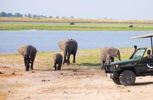 Chobe Boat Cruise & Game Drive Day Trip From Livingstone