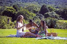Private Table Mountain, Kirstenbosch and Constantia Wine Tasting.