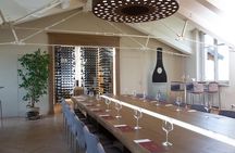 Barolo & CO: visit and tasting