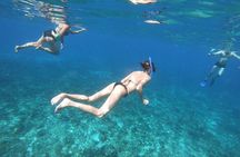 Snorkeling Experience Cozumel only from Playa del Carmen