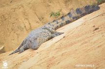 3 days Kinshasa Congo River and N’sele park experience