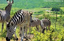 3 days Kinshasa Congo River and N’sele park experience