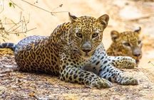 10-Days Private tour package. English speaking driver and Private luxury vehicle
