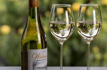 Stellenbosch, Paarl & Franschhoek Private Full Day Wine Tour 