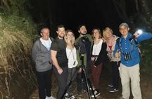 Monteverde Night Tour
