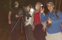 Monteverde Night Tour