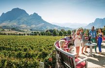 Stellenbosch, Paarl & Franschhoek Private Full Day Wine Tour 