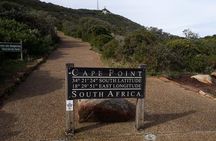 Cape of Good Hope and Penguins - Small Group - Full day