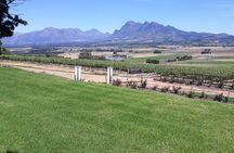 Full Day Wine Tasting in Stellenbosch, Franschoek & Paarl fees included