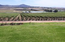 Full Day Wine Tasting in Stellenbosch, Franschoek & Paarl fees included